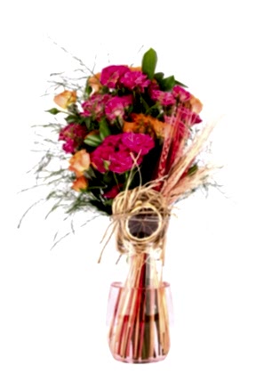 Pink Orange Design