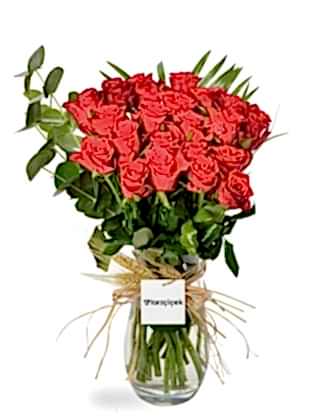 Red Roses