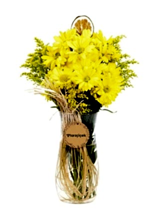 Jaune Marguerite 