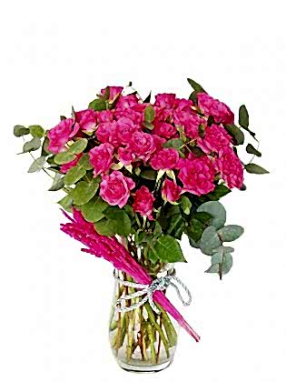Pink Roses