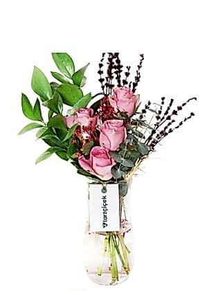 Sweetbriar Rosa Rubiginosa