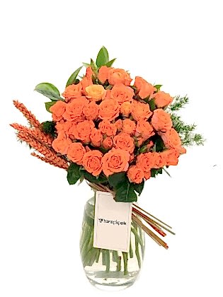 Orange Arbor Rose