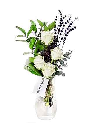 White Love