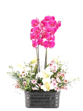 Pembe Orkide Krizantem ve Lilyum Tasarımı