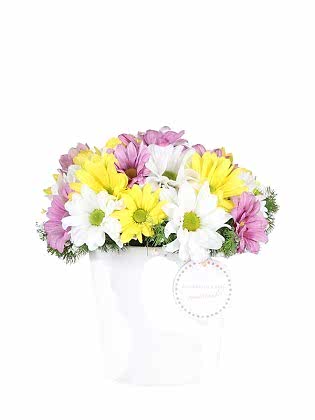 Colorful Love Papatyalar