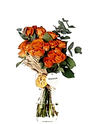 Orange Çardak Gül