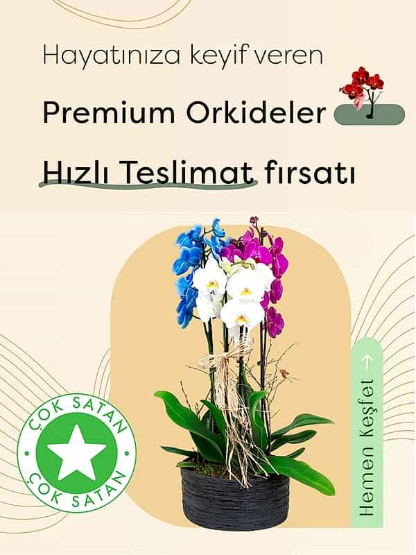Tarz Çiçek: Çiçek Siparişi, Çiçek Gönder, Taze Çiçek